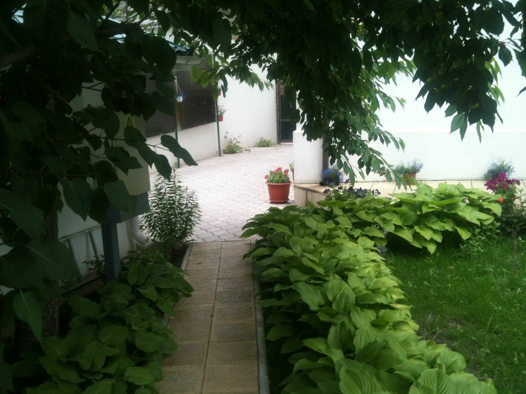 Lidia Hotel 3*