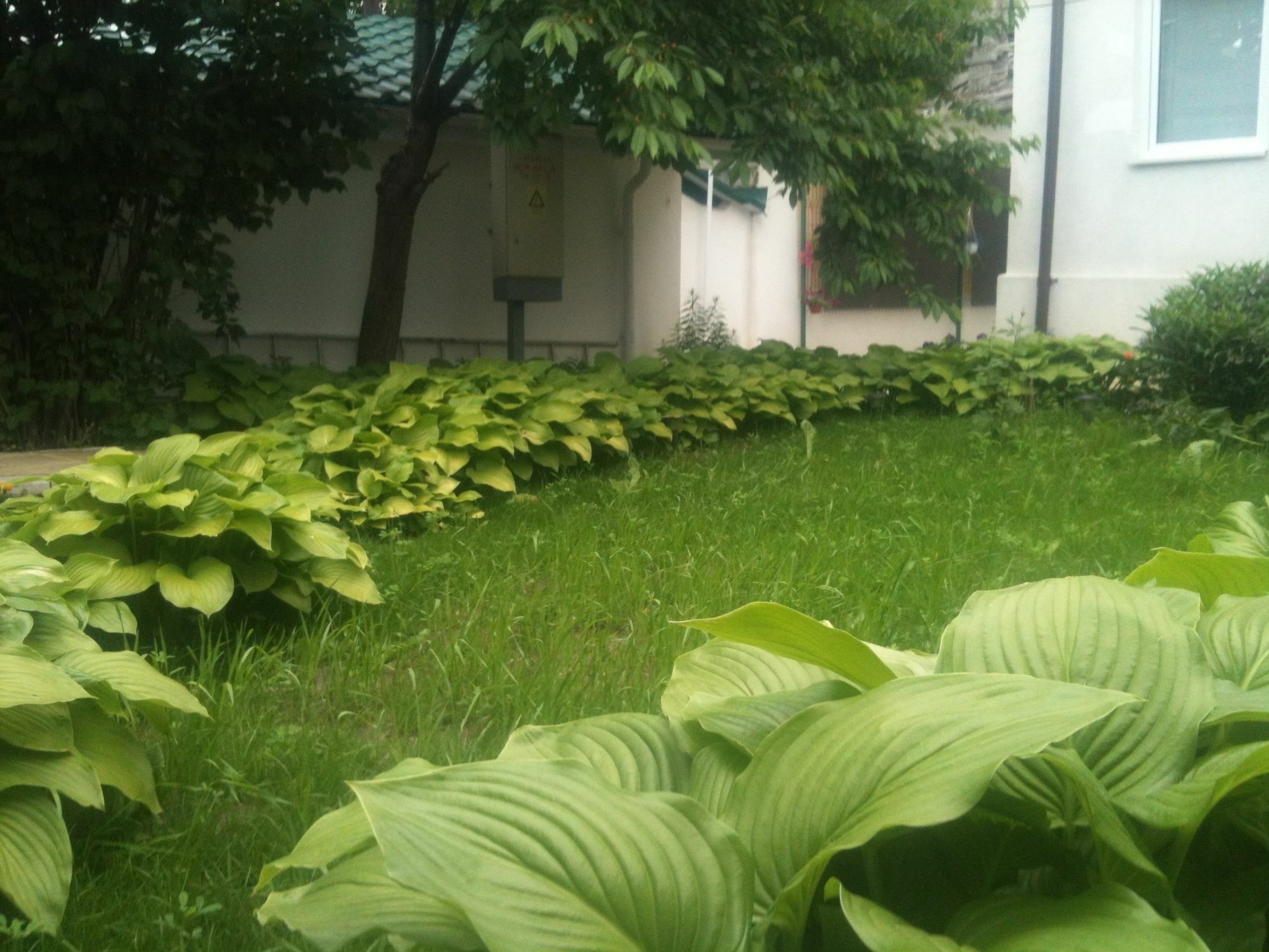 Lidia 3* Кишинів